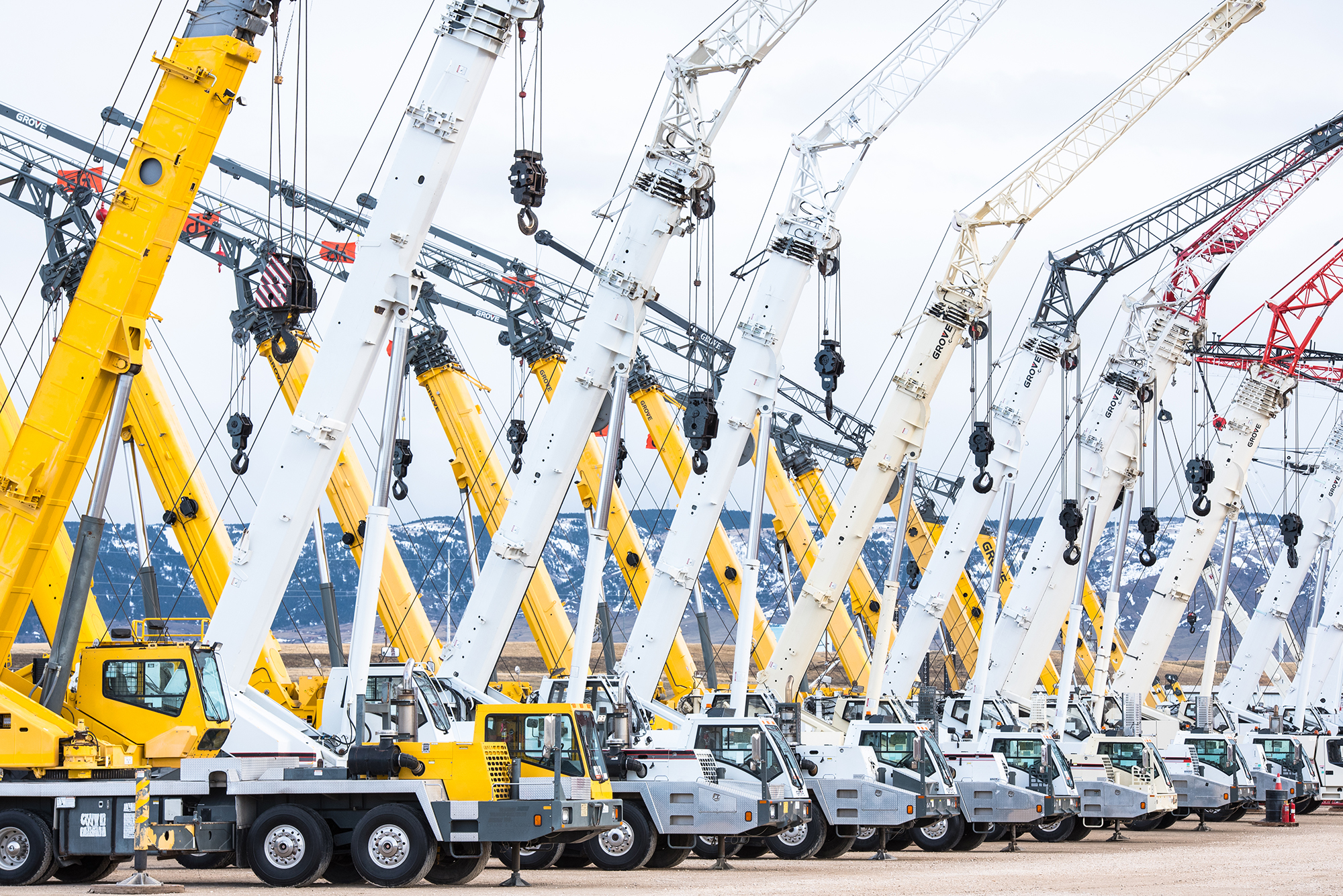 Different types of cranes are parked side by side.