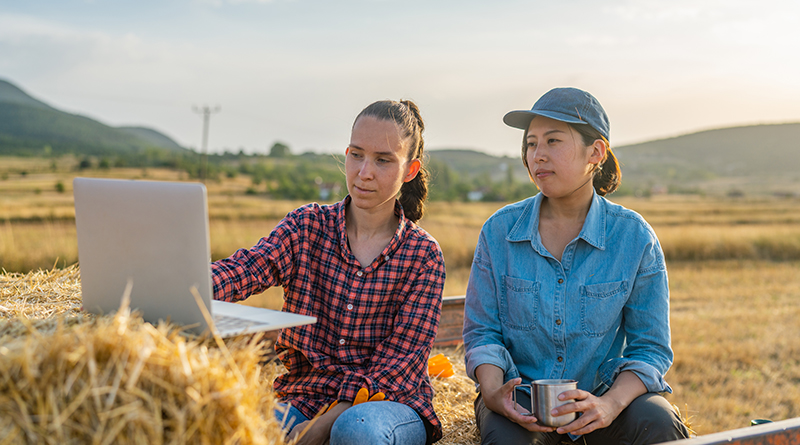 Two women are sitting down in the rice field.